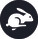 Logo De Haas Auto